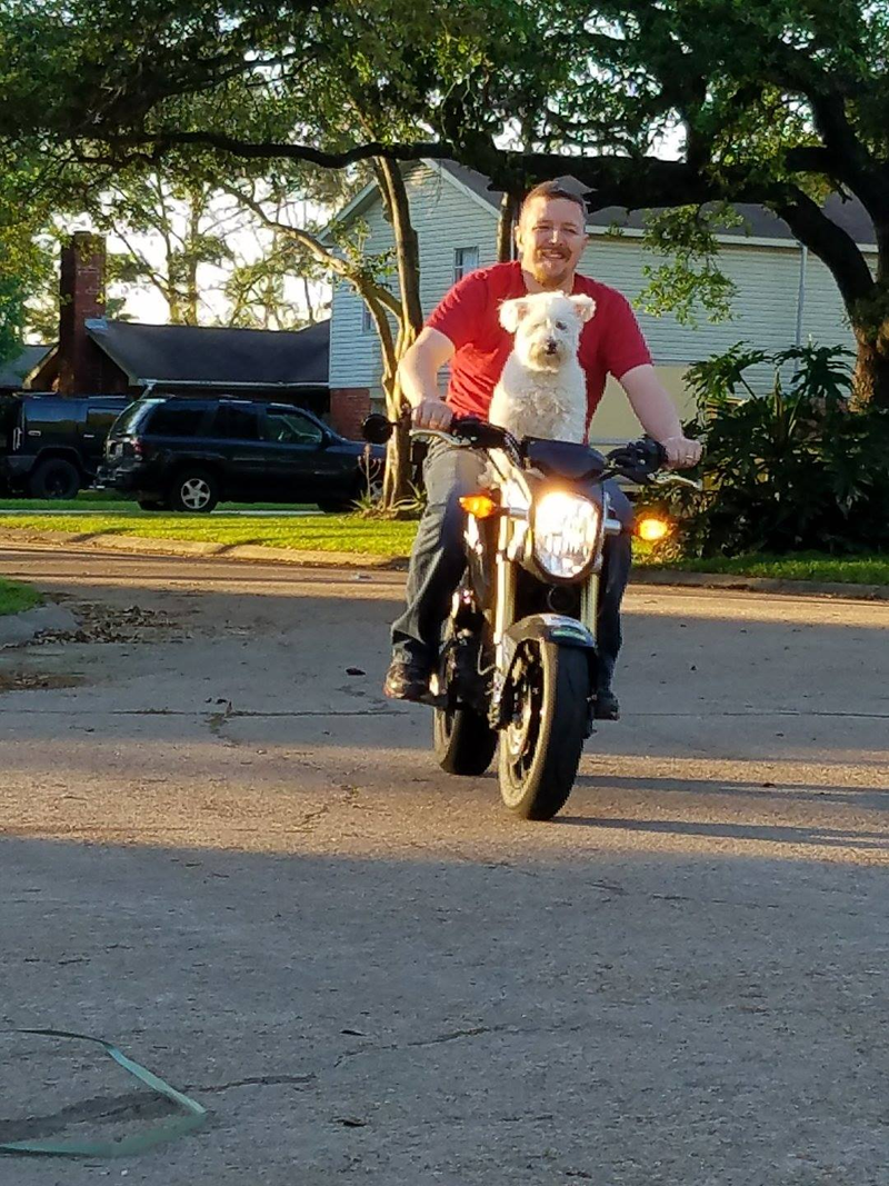 Even puppies, like Blake, love Groms. Photo courtesy of Joshua Derrick.